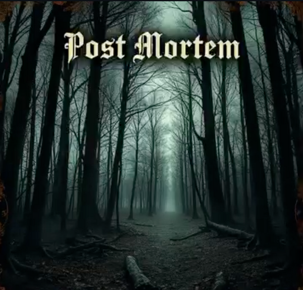 Post Mortem